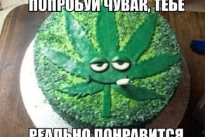 Прикольные фото и картинки!