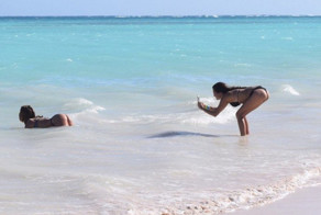 Миллионы лет эволюции... и всё коту под хвост