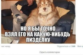 Смешные комментарии из социальных сетей