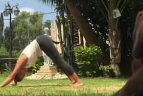 Пёс решил заняться йогой вместе с хозяйкой