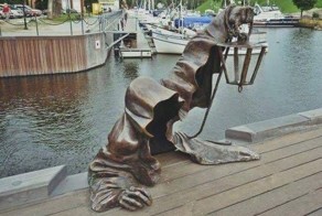 Прикольная подборка фото