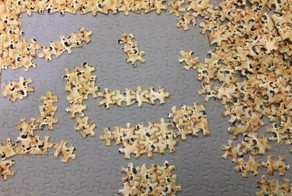 Найден самый ужасный пазл