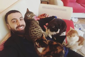 Котики тоже любят красивую музыку!  Музыкант доводит котов до блаженства, играя им на пианино