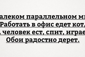 Смешные комментарии и высказывания из социальных сетей
