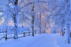 20 любопытных фактов о снеге