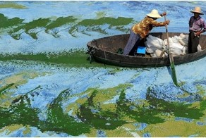 Реальные фотоснимки, которые вы примете за картинки