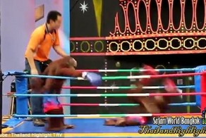 Боксеры-орангутаны из тайского зоопарка вызвали ярость зоозащитников