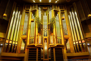 Путешествие внутрь органа