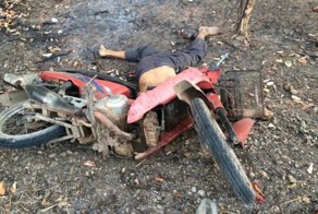 Гнилое дерево оказалось прочнее головы