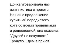 Смешные комментарии и высказывания из социальных сетей