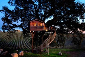 Домик на дереве