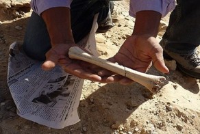 Археологи обнаружили в Тунисе новые доказательства ранней миграции человека из Африки