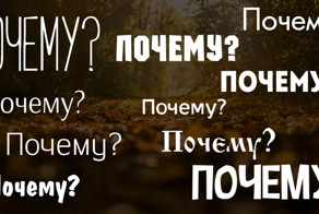 10 таких занимательных "почему"