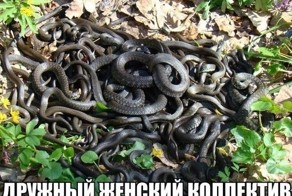 Коротко о женской дружбе: Девушка рассказала, как подруги добивались её увольнения, но остались с носом