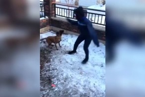 Не надо было приставать к собаке!