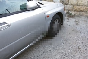 Камни пройденных дорог сумел пробить росток