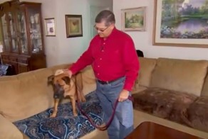 Хозяева этой собаки узнали, наконец, почему она смотрит на них, не отрываясь, каждую ночь