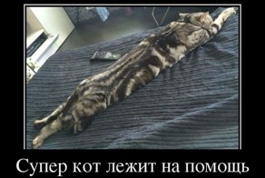 Подборка демотиваторов, которые поднимут вам настроение