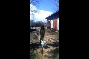 Гусь продемонстрировал настоящую преданность своей хозяйке 