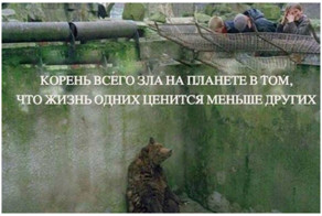 Цирковой садизм - пожизненная пыточная