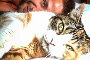Инстаграм-аккаунт с горячими парнями, которые позируют с кошками, точно поднимет давление у любой девушки