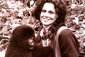 Звезды VHS. Сигурни Уивер