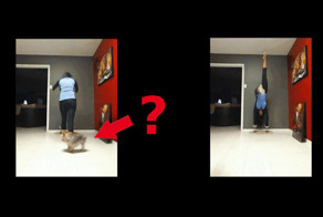 Они забыли включить мозг и произошло то, что произошло