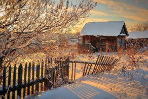 Просто картинки из интернета