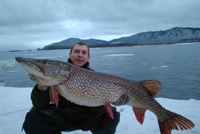 Под Самарой поймана гигантская щука на 13,5 кг