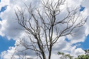 Подборка снимков, сделанных точно в нужную долю секунды