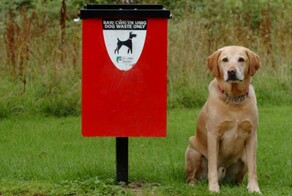 Владельцев собак заставят убирать за питомцами с помощью штрафов