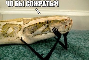 Новый модный мем: змеи с маленькими чёрными руками
