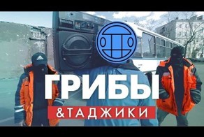 "Жириновский нас поймет". Песня Грибов  "Между нами тает лед" обрастает пародиям
