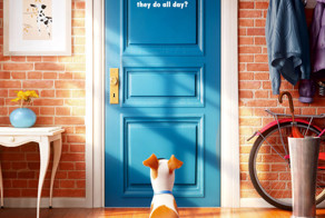 Критический разбор мультфильма «Тайная жизнь домашних животных»