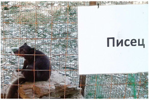 Даже не знаю, что сказать