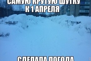 Смешные картинки с надписями