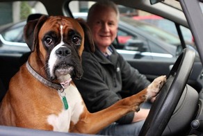 Когда хозяин нажрался и попросил сесть за руль