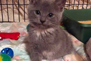 Эта девочка родилась с тремя лапками и ее должны были усыпить