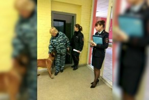 Дети стояли у стены, пока шла собака