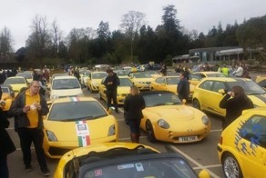 Сотни жёлтых авто приехали в деревню чтобы поддержать пенсионера