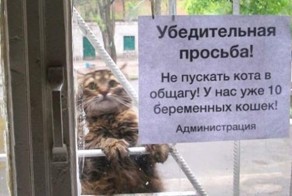 Креативные объявления!