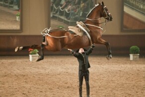 Мега подборка удачных кадров сделанных в нужный момент