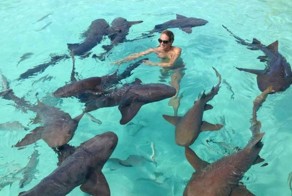 Подборка прикольных картинок