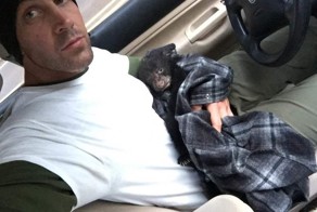 Фотограф спас умирающего медвежонка, рискуя жизнью и свободой