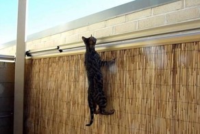  Заборная система "Антикот" в действии!