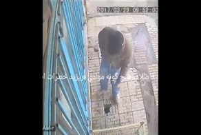 Курение опасно для вашего здоровья! Парень сильно пожалел, что бросил окурок в неположенном месте