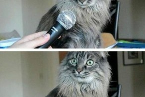 Чтоб было кому завидовать завтра