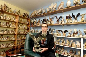 Любитель птиц собрал необычную коллекцию, занявшую целый дом, три сарая и гараж