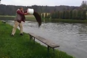 Это не рыбы, а голодные монстры!