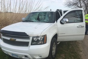 Индейка пробила лобовое стекло внедорожника